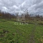 Nagyigmánd Mezőgazdasági terület