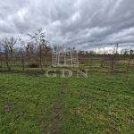 Nagyigmánd Mezőgazdasági terület