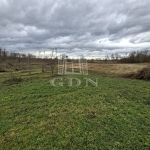 Nagyigmánd Mezőgazdasági terület