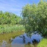 Nagyigmánd Mezőgazdasági terület