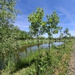 For sale agricultural area Nagyigmánd, 8440m2