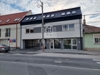 出租 商业用 - 店铺 Székesfehérvár, 50m2