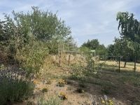 Pákozd Családi ház