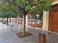 Kiadó üzlethelyiség Székesfehérvár, 208m2