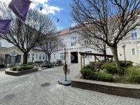 Székesfehérvár Lakás (téglaépítésű)