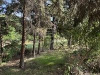 Pátka Családi ház