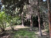 Pátka Családi ház