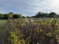 Pátka Családi ház