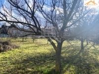 Sárszentmihály Telek