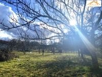 Eladó telek Sárszentmihály, 806m2