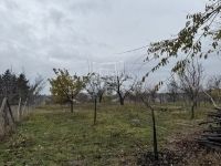 Magyaralmás Családi ház