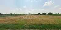 Eladó telek Pátka, 1000m2