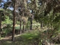 Pátka Családi ház