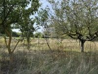 Pátka Családi ház