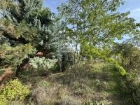 Pátka Családi ház