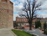 Budapest II. kerület Lakás