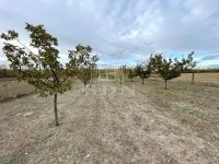 Péteri Mezőgazdasági terület