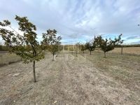 Péteri Mezőgazdasági terület