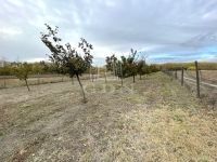 Péteri Mezőgazdasági terület