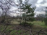 Tápiószecső Családi ház