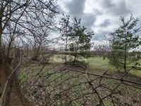 Tápiószecső Családi ház