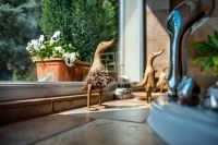 Üröm Családi ház