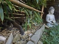 Gödöllő Lakás (téglaépítésű)