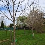 Balatonakarattya Telek