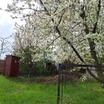 Balatonakarattya Telek