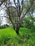 Продается участок Balatonkenese, 1439m2