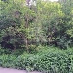 Balatonkenese Családi ház