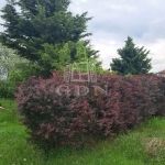 Pétfürdő Családi ház