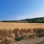 Balatonkenese Nyaraló