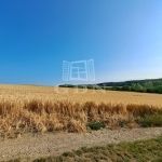 Balatonkenese Nyaraló