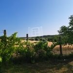 Balatonkenese Nyaraló