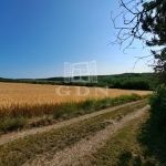 Balatonkenese Nyaraló