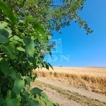 Balatonkenese Nyaraló