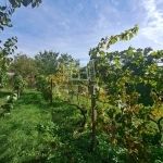 Balatonkenese Családi ház