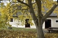 Pécsely Családi ház