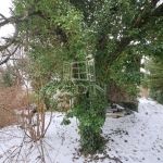 Csopak Családi ház