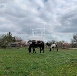 Veszprém Családi ház