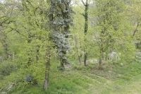 Budapest II. kerület Kastély, kúria