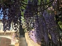 Budapest III. kerület Családi ház