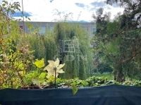 Budapest III. kerület Lakás (panel)