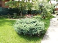 Dunaharaszti Családi ház