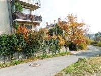 Budapest XII. kerület Lakás (téglaépítésű)