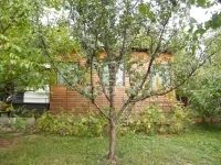 Vânzare teren pentru constructii Budakeszi, 610m2