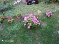 Leányfalu Családi ház