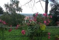 Leányfalu Családi ház