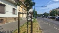 For sale flat (brick) Budapest XIV. district, 25m2